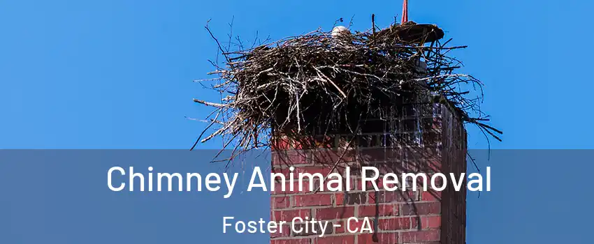 Chimney Animal Removal Foster City - CA