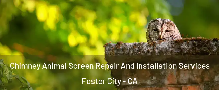  Chimney Animal Screen Repair And Installation Services Foster City - CA
