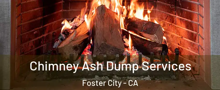  Chimney Ash Dump Services Foster City - CA