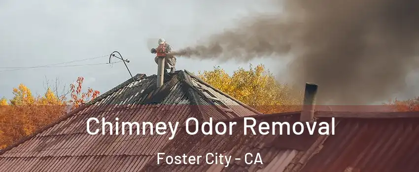  Chimney Odor Removal Foster City - CA