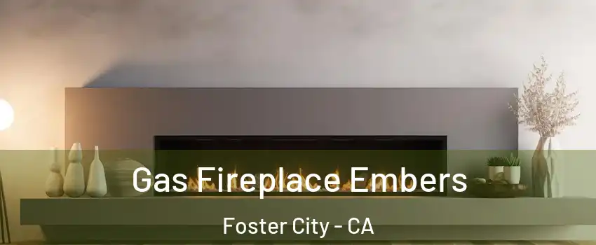  Gas Fireplace Embers Foster City - CA
