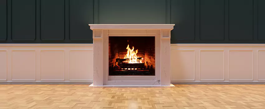 Napoleon Electric Fireplaces Inspection Service in Foster City, California