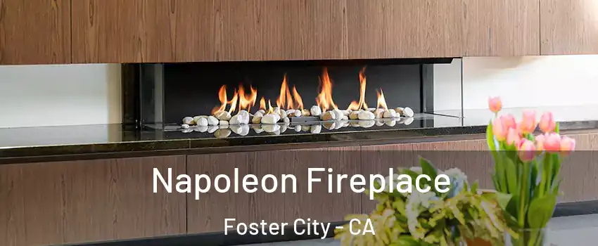  Napoleon Fireplace Foster City - CA