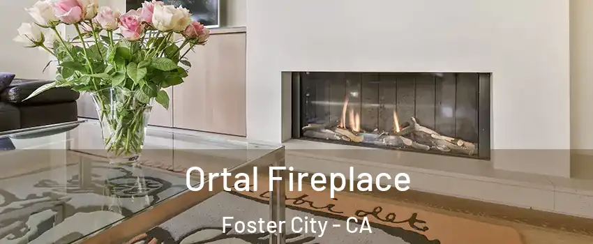 Ortal Fireplace Foster City - CA